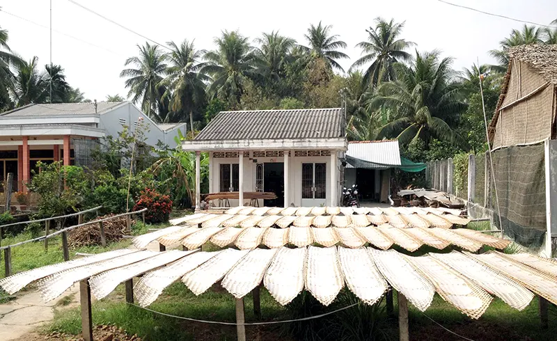 Bánh tráng được phơi trên nan tre