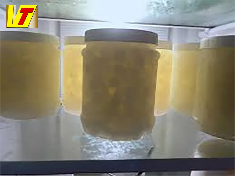 Bảo quản trong tủ lạnh